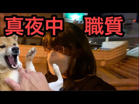 【柴犬飼い主54歳】真夜中の上野駅　職質！
