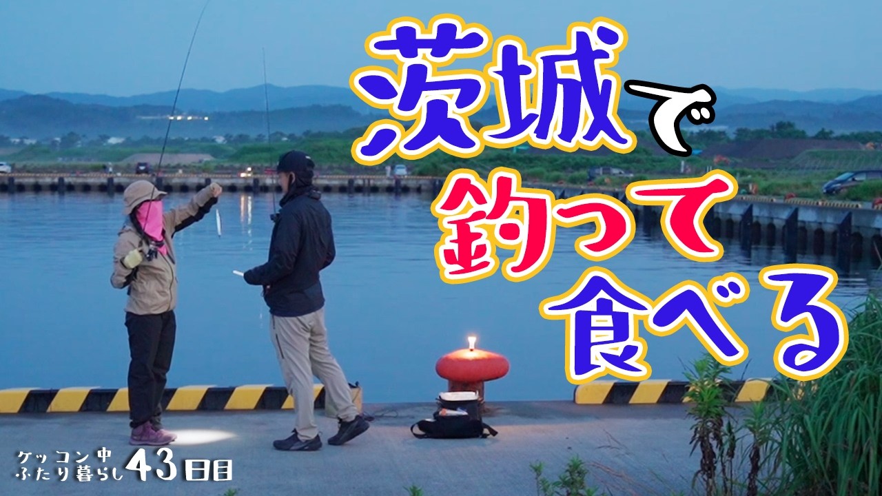 【釣り車中泊】めっちゃ釣れる！？茨城でアジング、サビキをしてみたらまさかの釣果・・・【95プラド】