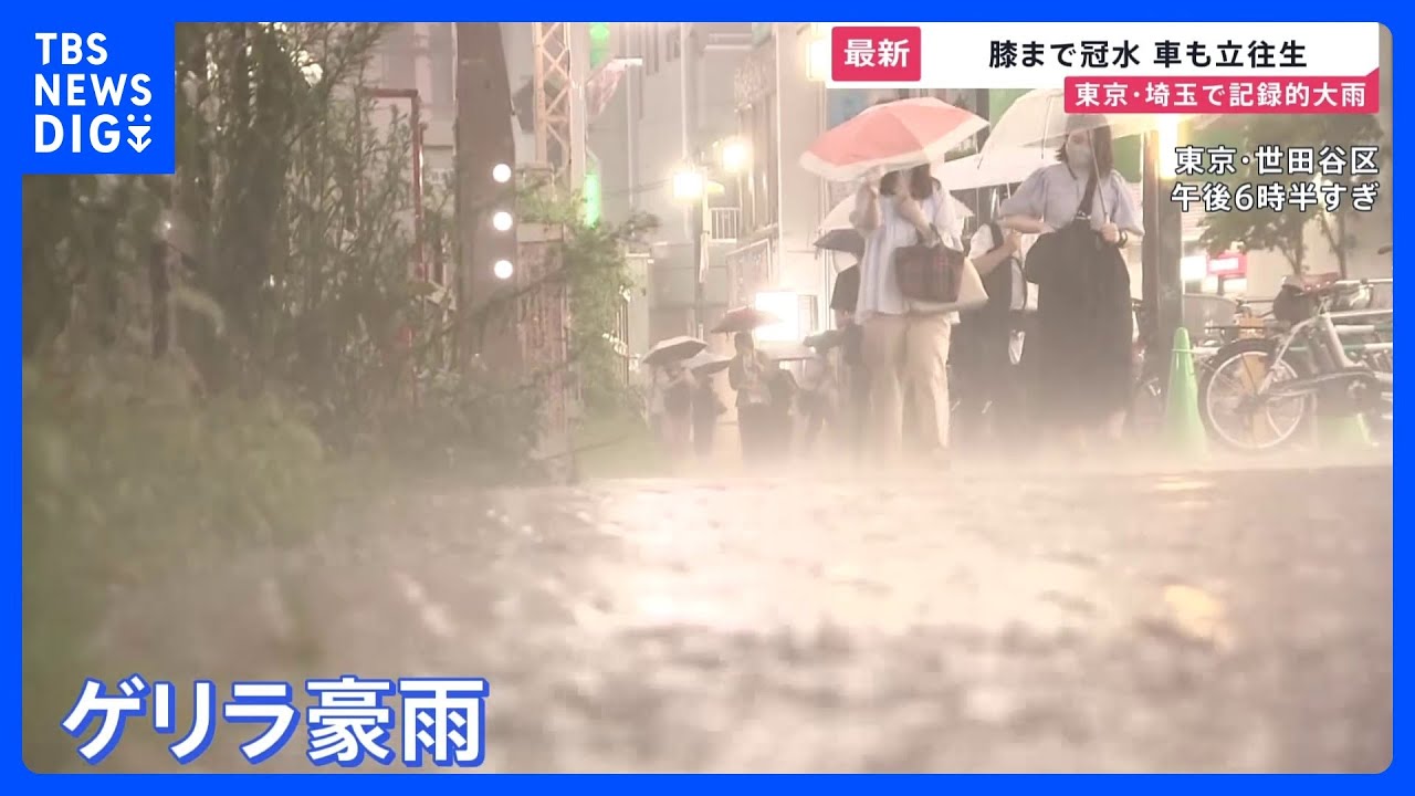 ゲリラ豪雨が帰宅時間襲う…東京・埼玉で記録的大雨　タクシー待ちの大行列　車や店が相次ぎ浸水被害　道路冠水も【news23】｜TBS NEWS DIG