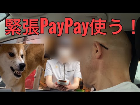 【柴犬飼い主54歳】緊張PayPay使ってみた！