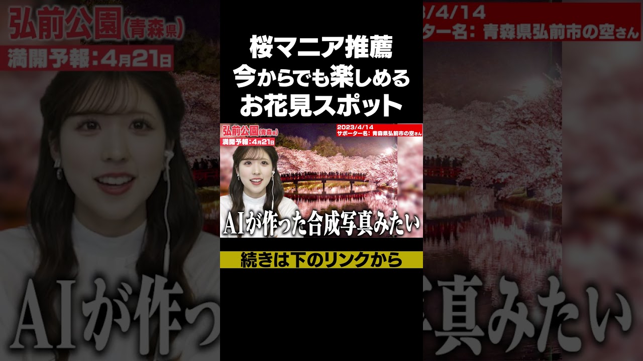 弘前公園の桜の秘密　#桜 #弘前公園 #小林李衣奈 #ウェザーニュース