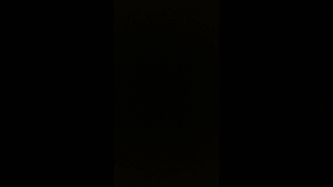 2024年8月5日