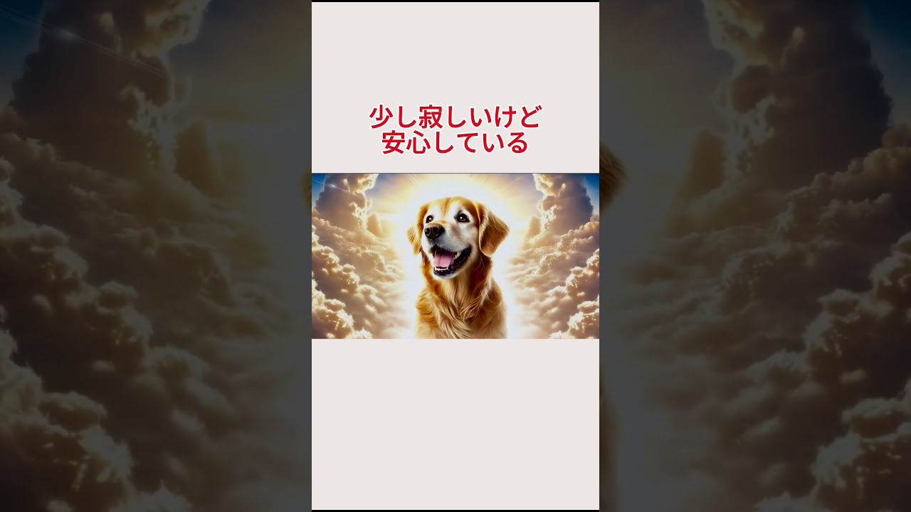 VOICEVOX：青山龍星#愛犬 #愛猫 #ペットロス #ダックス #チワワ #トイプードル #ゴールデンレトリバー #ビーグル #ブルドッグ #パグ #ポメラニアン #ピンシャー #パピヨン #柴犬