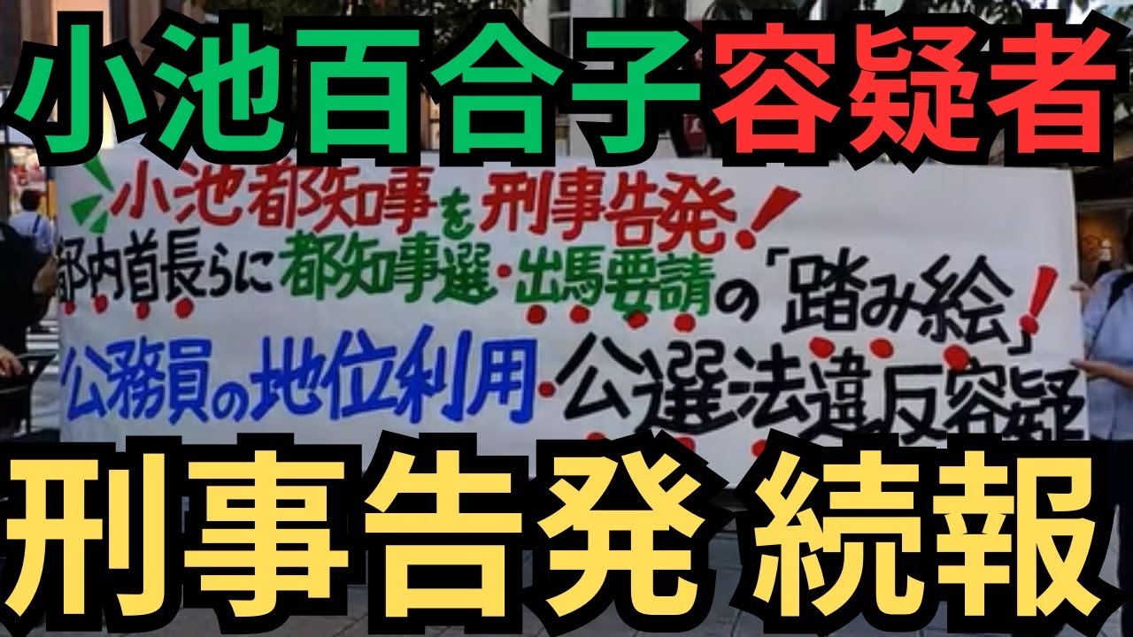 【小池百合子】小池百合子の当選無効を訴える集い(抜粋/字幕付き)【公選法違反】