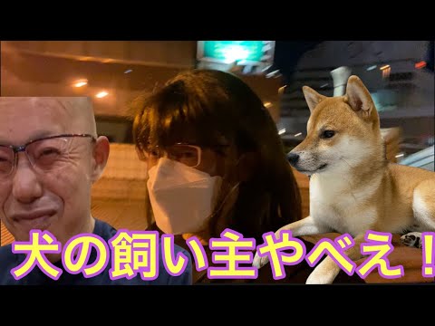 【柴犬飼い主54歳】土木作業員と犬！