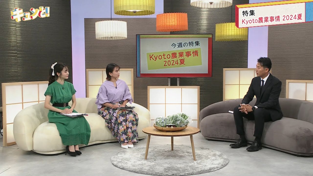 キュンと！「Kyoto農業事情 2024夏」 | KBS京都テレビ（2024年8月9日放送分）