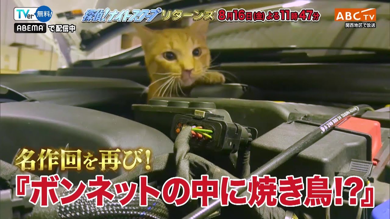 「探偵！ナイトスクープ」8月16日（金）よる放送！