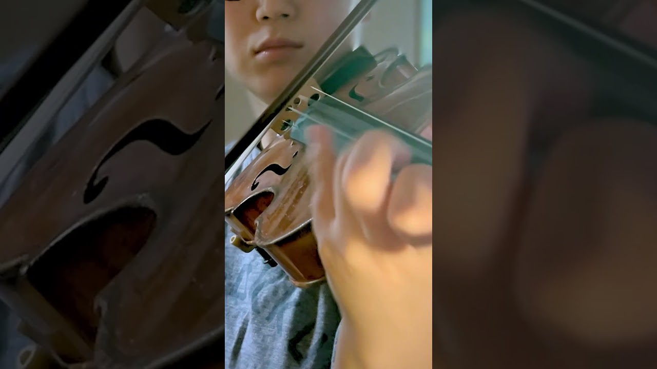 H.Dutilleux: Concerto for violin "Tree of Dreams"｜H.デュティユ: ヴァイオリン協奏曲《夢想の樹》より #shorts