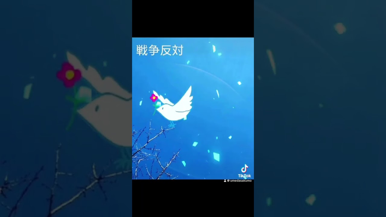 平和がいいから。#返して辺野古の海  #StandUpForHENOKO