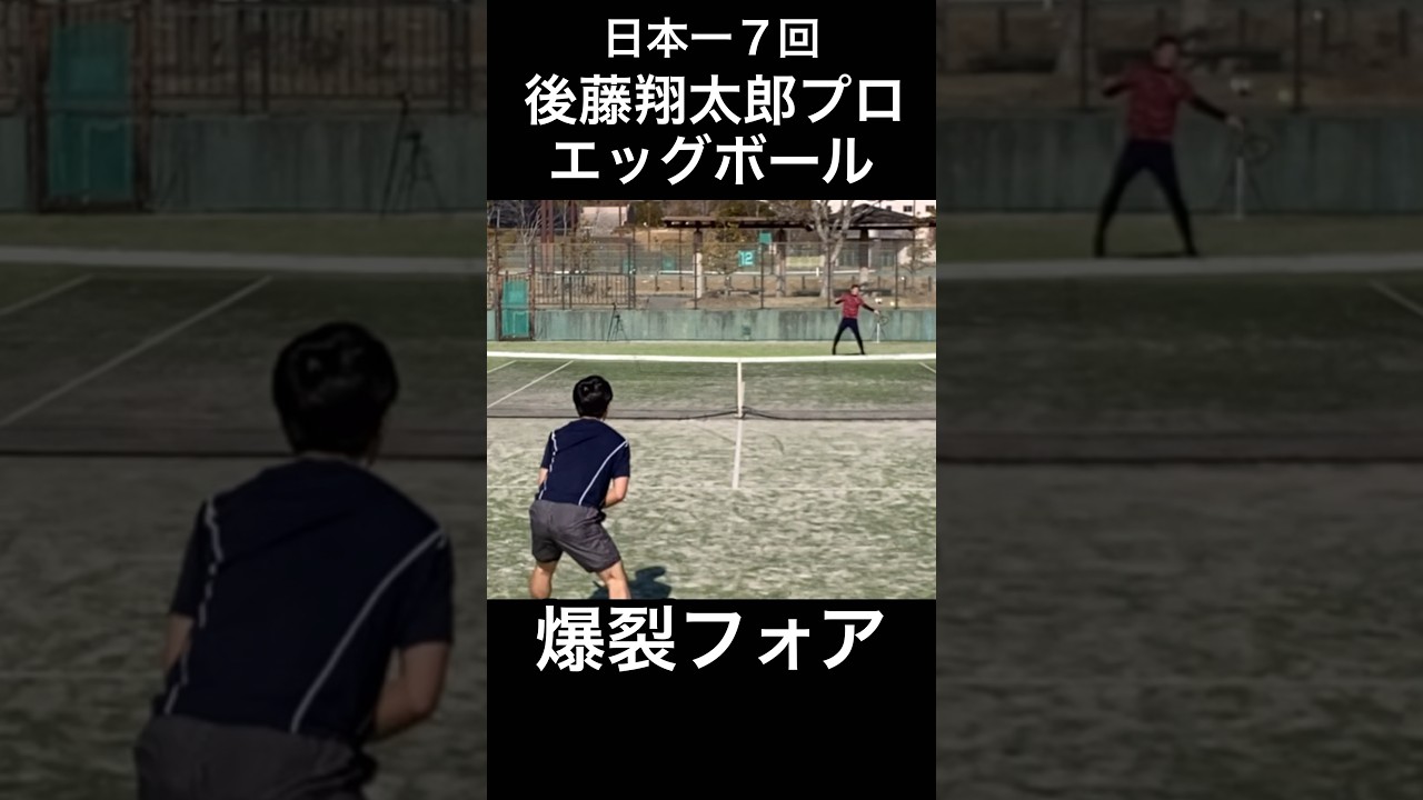 インハイ三冠王後藤翔太郎プロのフォアハンドエッグポール【テニス】#shorts
