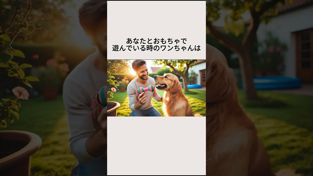 VOICEVOX：青山龍星#愛犬 #愛猫 #ペットロス #ダックス #チワワ #トイプードル #ゴールデンレトリバー #ビーグル #ブルドッグ #パグ #ポメラニアン #ピンシャー #パピヨン #柴犬
