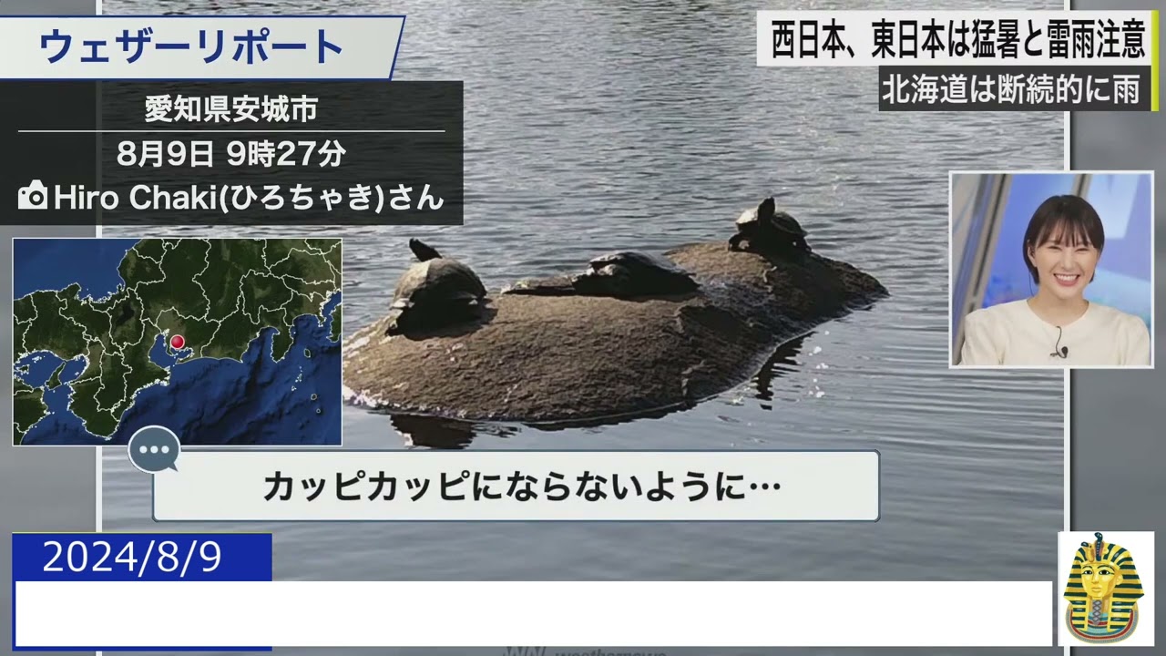 【20240809 ウェザーニュースライブ切り抜き】 かわいい動物リポート #白井ゆかり