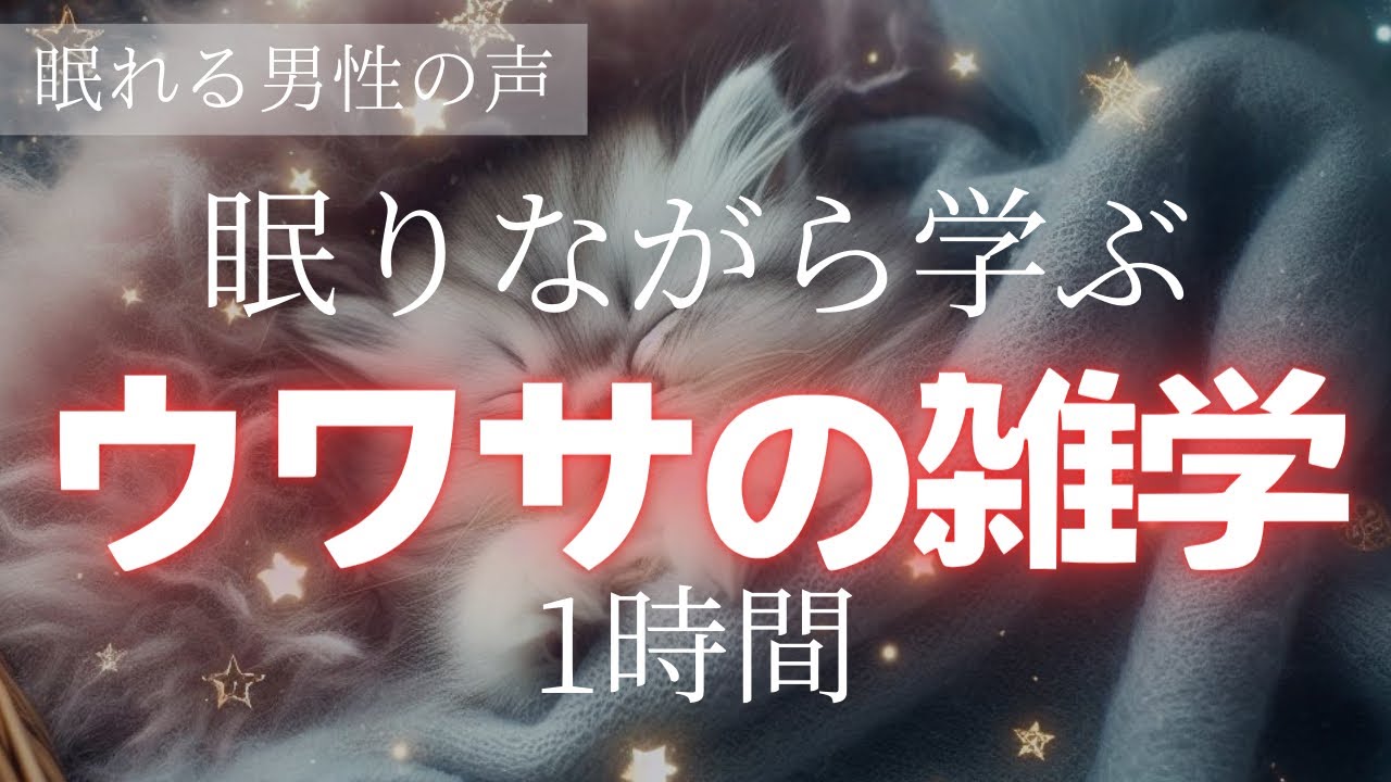 【寝る前に学ぶ】ウワサの雑学1時間【睡眠導入】