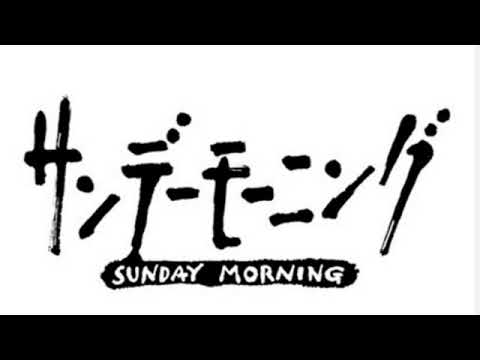 【見逃し配信】サンデーモーニング8月18日＜甲子園/ガザ停戦/中東/トランプ/ウクライナ/自民党/台風/岸田総理退陣/総裁選/フル無料/再放送＞2024年8月18日FULL LIVE