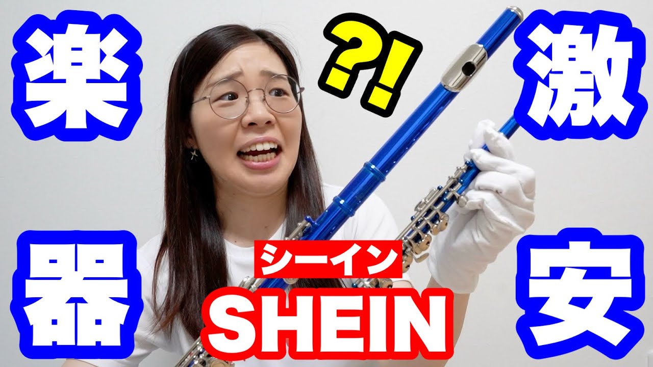 【音程迷子⁈】SHEINで売っているフルートとピッコロを買ってみた結果【3万人記念】 #shein #flute