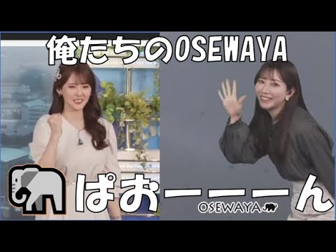 【魚住茉由・小川千奈】🐟🍠🍘🧸🍓っ「ぱおーーーんを始めたきっかけを語るまゆちゃん、ぱおーんを拒むせんちゃん(ニコ生コメ有り)」
