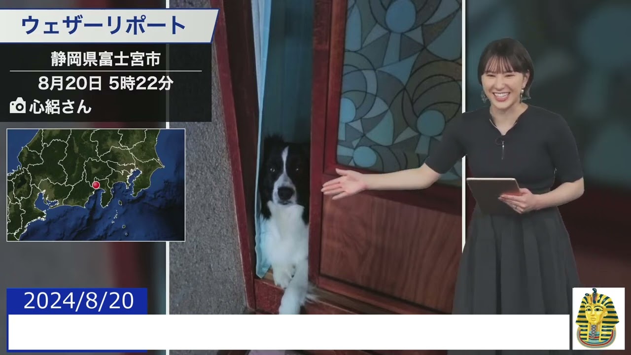 【20240820 ウェザーニュースライブ切り抜き】 かわいい動物リポート #白井ゆかり