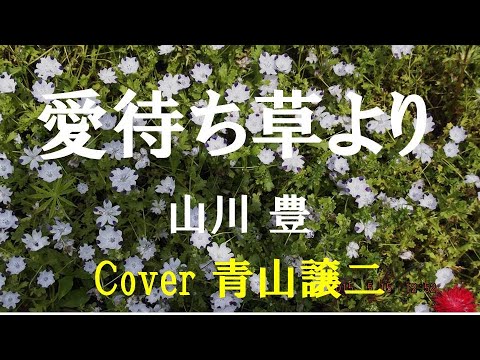 「愛待ち草より」山川豊　cover青山譲二