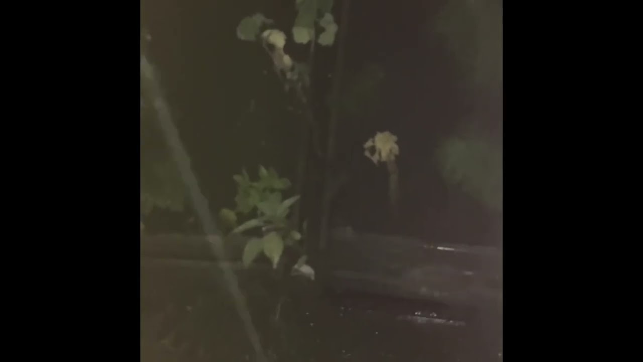 側溝雨水