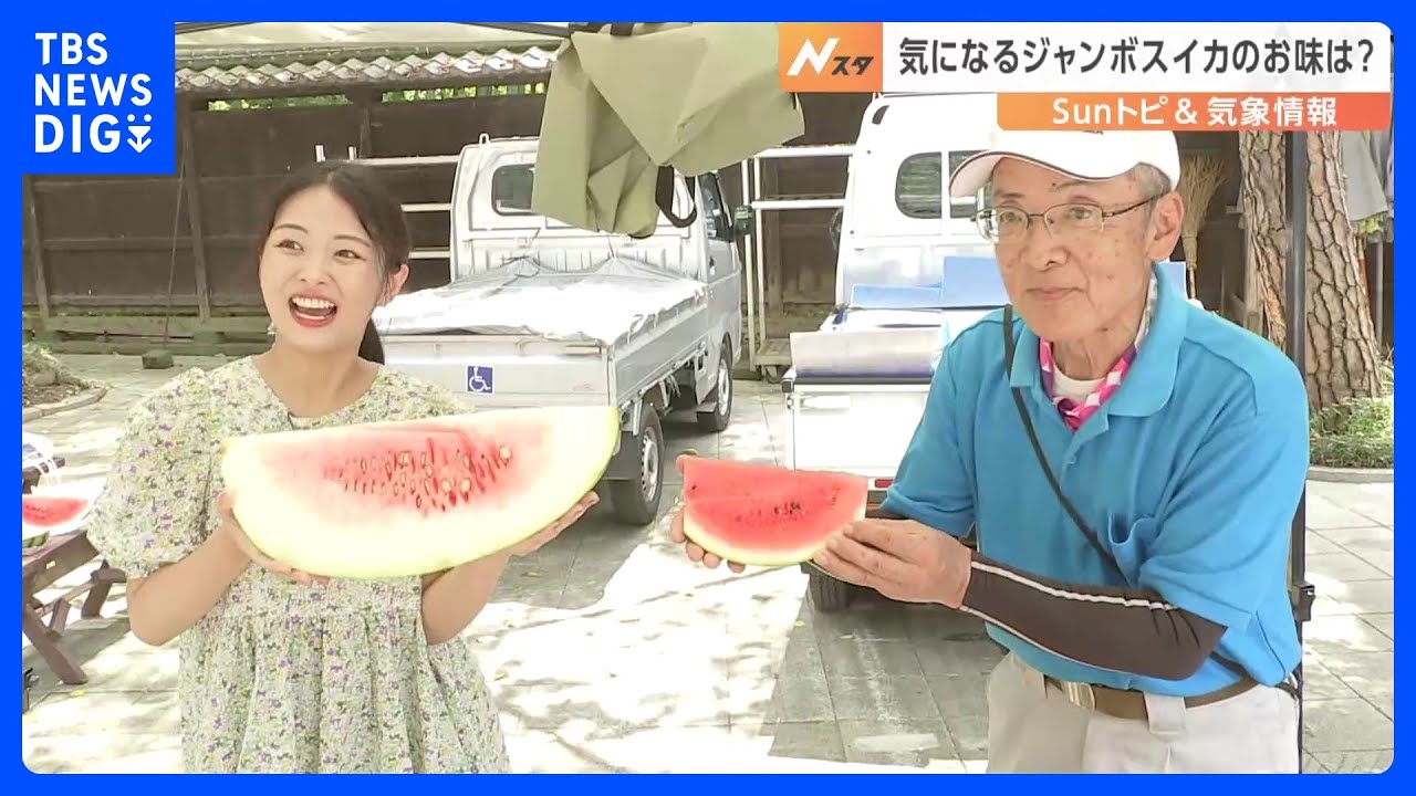 スイカにも暑すぎた今年の夏？ 「ジャンボスイカコンテスト」優勝は50キロ超え　埼玉・桶川市【SUNトピ】｜TBS NEWS DIG