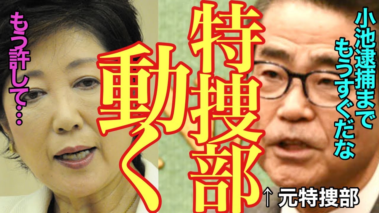 【#小池百合子 8/26 超速報】刑事告発がようやく受理⁉︎ついに小池氏解任か...！【#小池百合子 #小池都知事 #石丸伸二 #刑事告訴 #学歴詐称 #特捜部 】