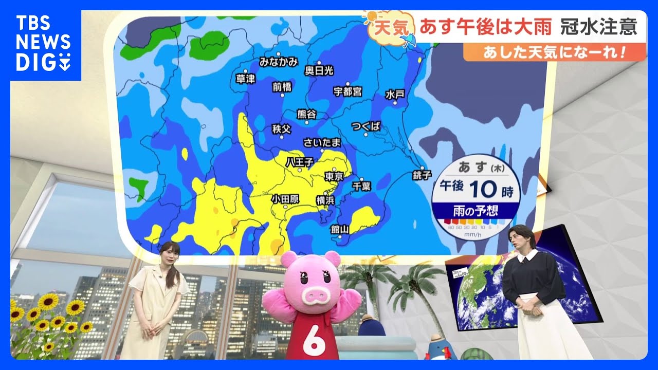 【8月29日 関東の天気】あす午後は大雨 冠水注意｜TBS NEWS DIG