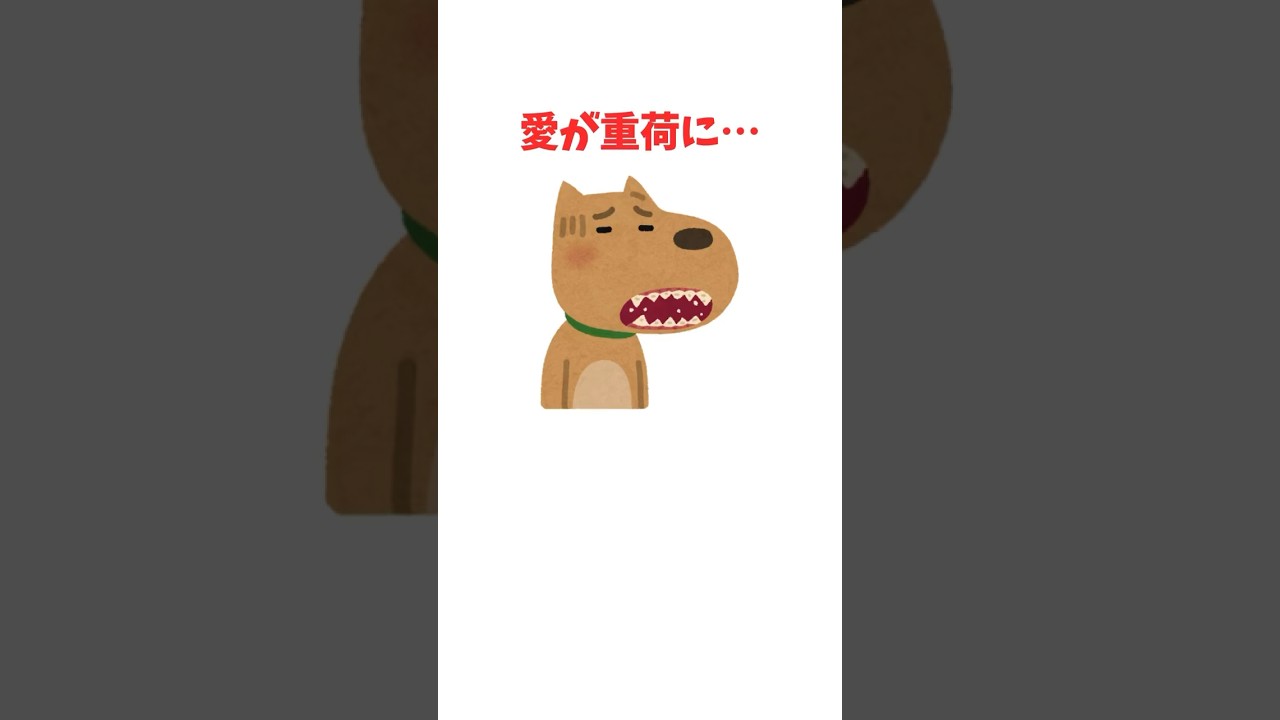 愛が重荷に…知らずに愛犬を苦しめる行動　#犬 #ペット #雑学