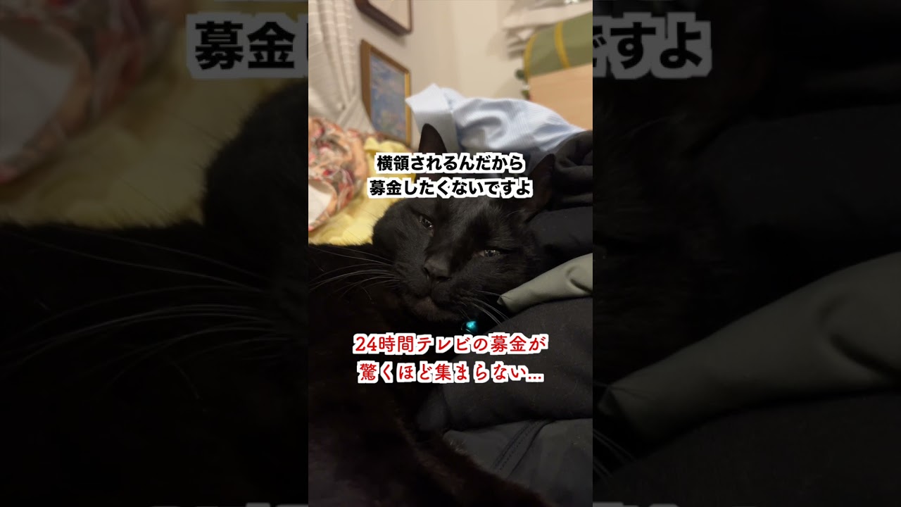 【批判】24時間テレビの募金が集まらない...