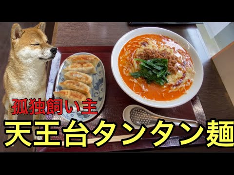 【柴犬飼い主54歳】おいしい担々麺食べに行ってみた！