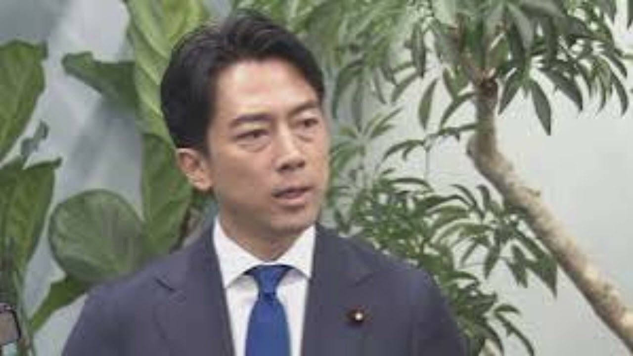 小泉進次郎氏　日テレ・鈴江奈々アナ質問に反論「締め付けっていうのが何を意味しているか分かりません」