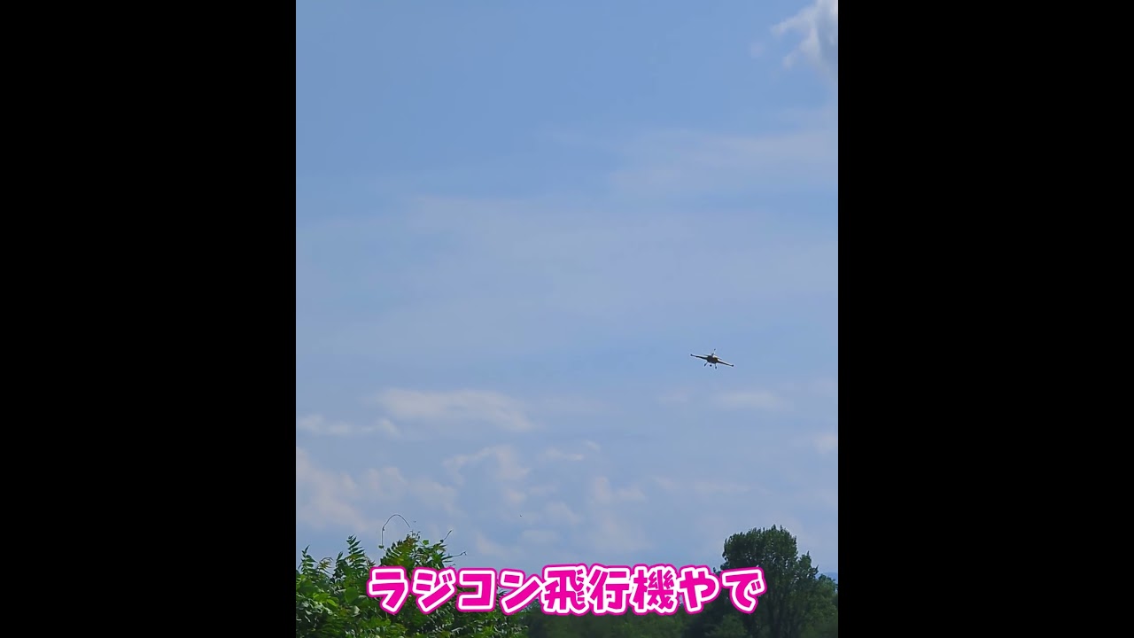 着陸するRafale C #ラジコン飛行機  #ラジコン