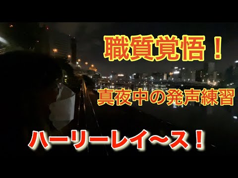 【柴犬飼い主54歳】