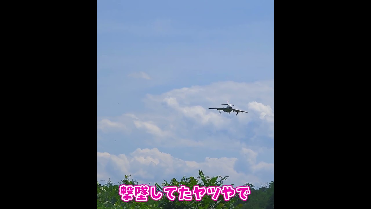 着陸するMIG-17 #ラジコン飛行機  #ラジコン
