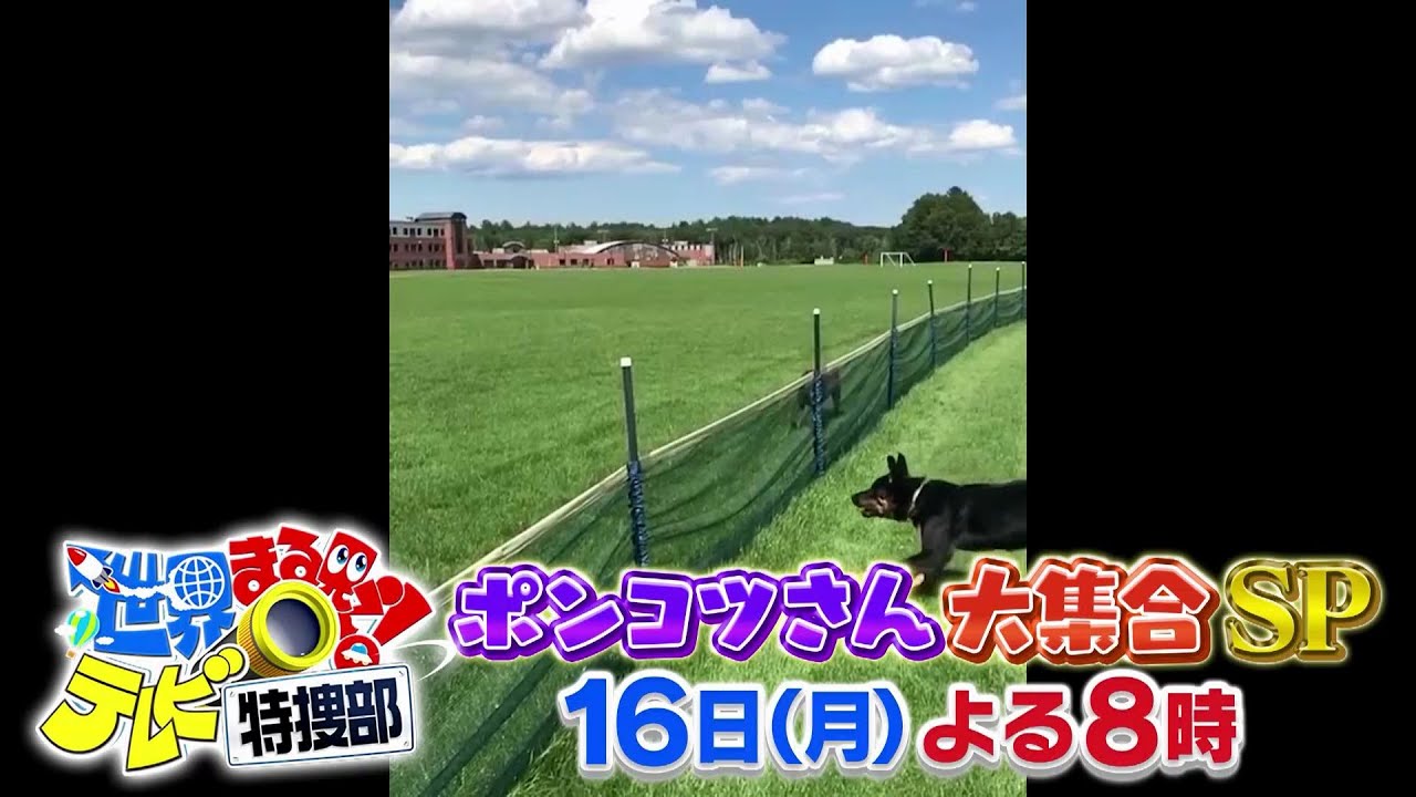 【世界まる見え】 9月16日（月）よる8時