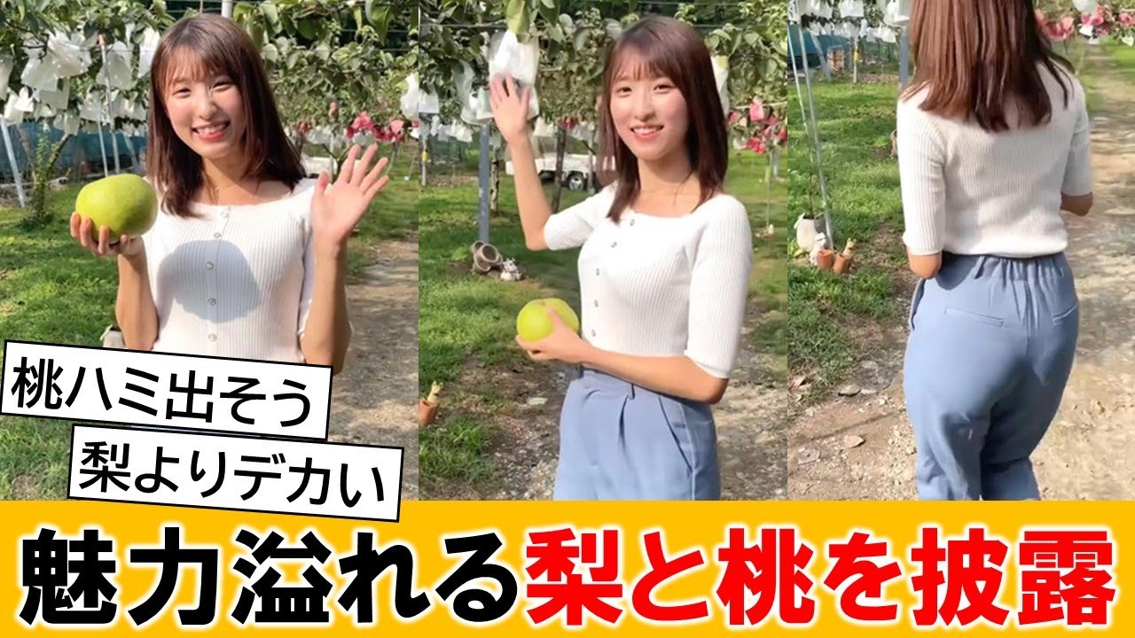白木愛奈アナ、梨農家を訪れて魅力をたっぷり紹介してくれる【ネットの反応】