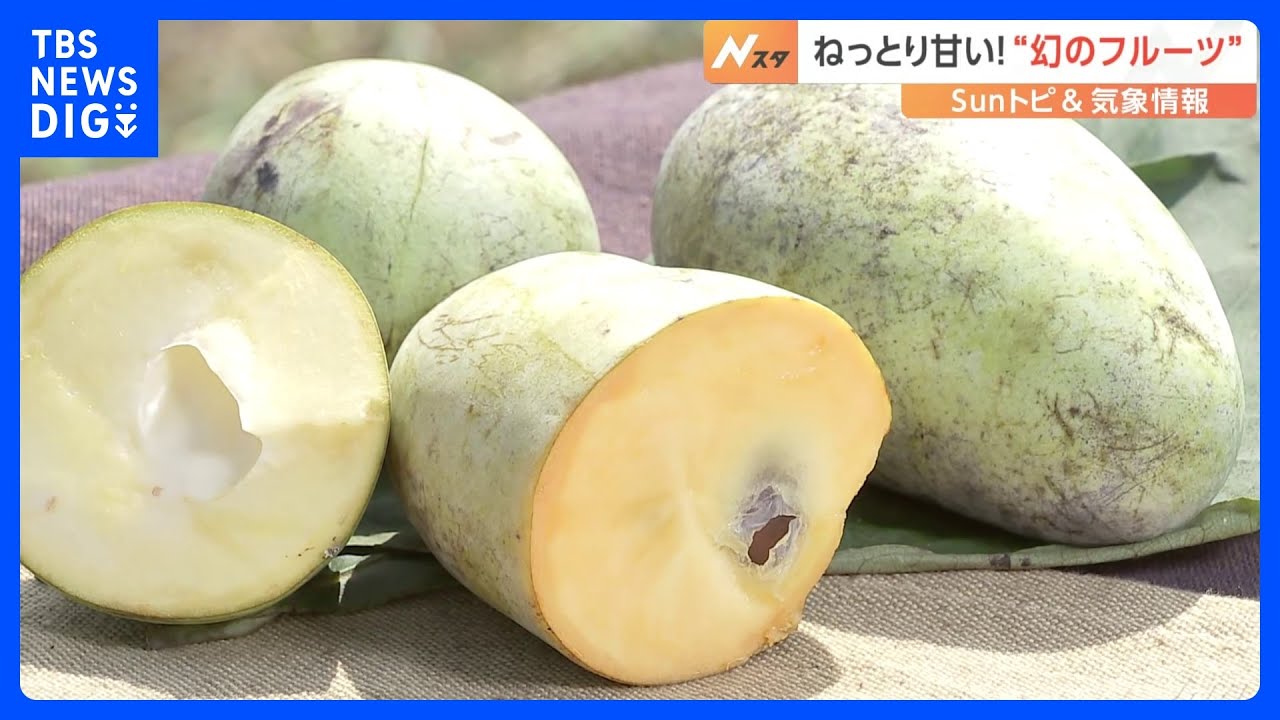 ねっとり甘い！森のカスタードクリーム「ポポー」“幻のフルーツ” と言われる理由とは？【SUNトピ】｜TBS NEWS DIG