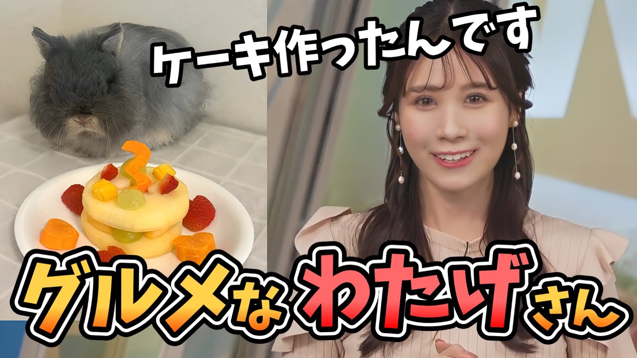 【戸北美月】みーちゃんに愛情たっぷり育てられている愛兎わたげさん！凄くグルメになってしまう【ウェザーニュース切り抜き】