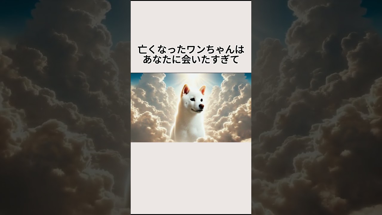 ワンちゃんの秘密5選part2