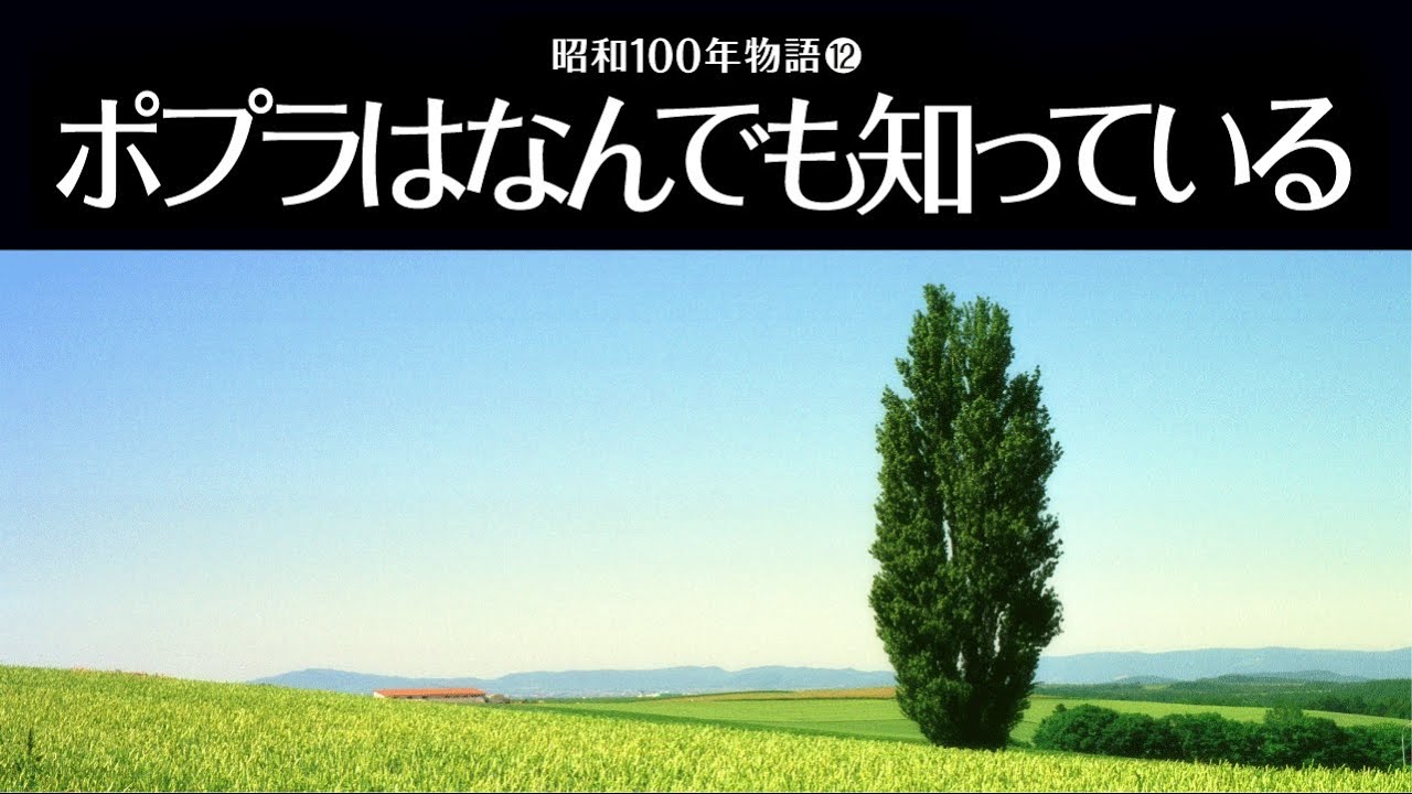 昭和100年物語12「ポプラはなんでも知っている」