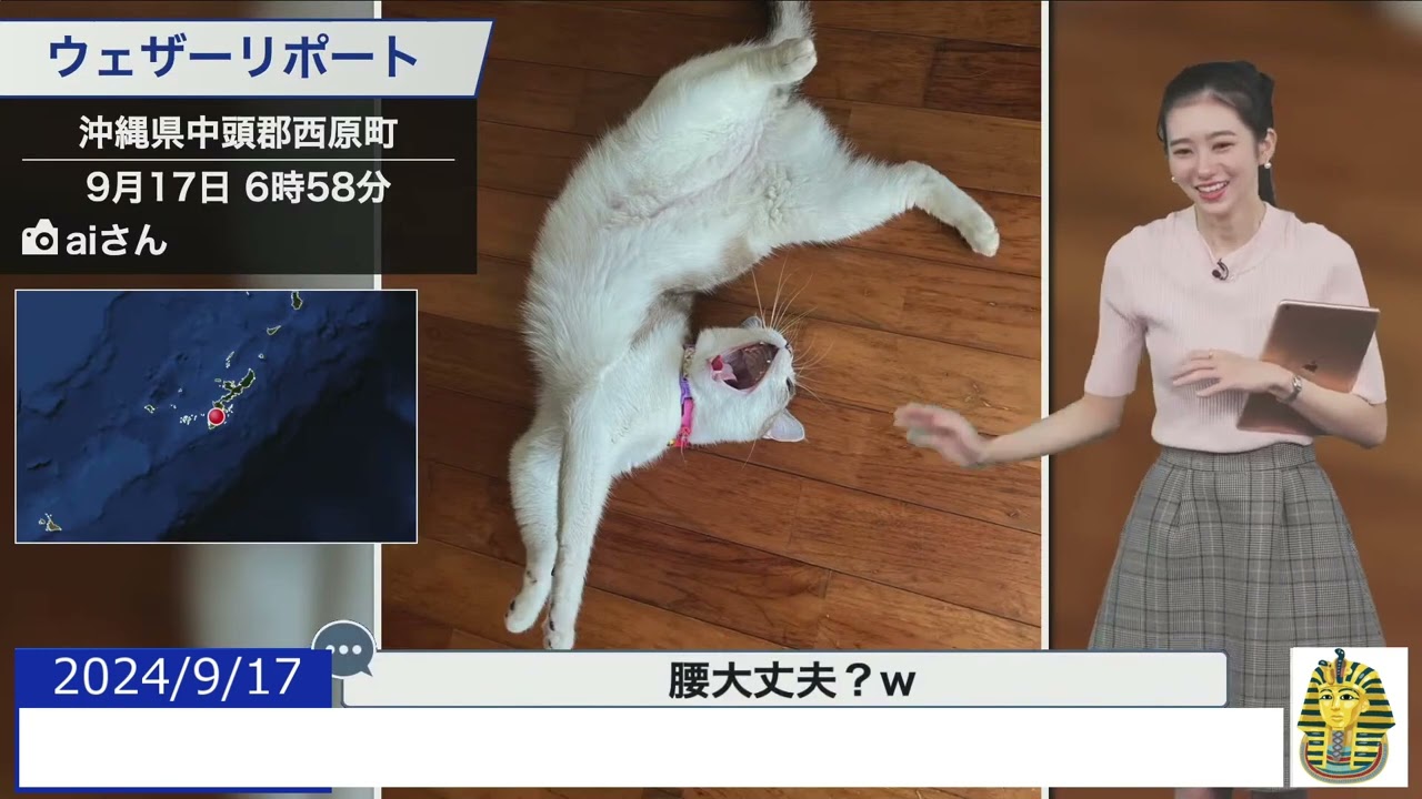 【20240917 ウェザーニュースライブ切り抜き】 かわいい動物リポート #大島璃音