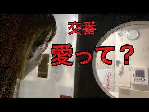 【柴犬飼い主54歳】ガチで飼い主が交番に聞きに行ってみた！
