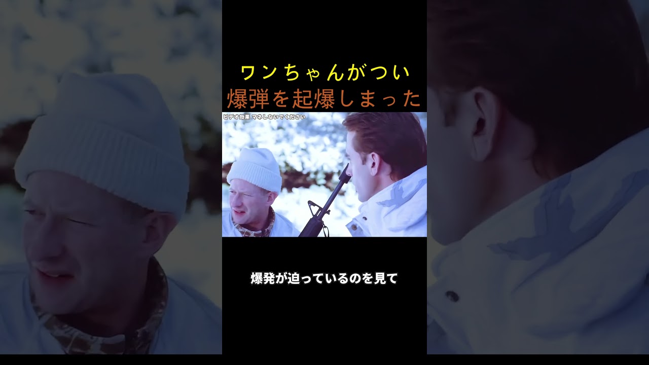 ワンちゃんがつい爆弾を起爆しまった