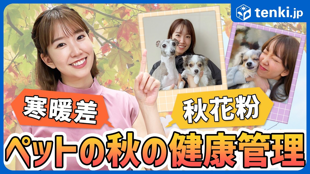 【ペットの健康管理】寒暖差や秋花粉など、季節の変わり目に注意したいペットの健康管理ポイント