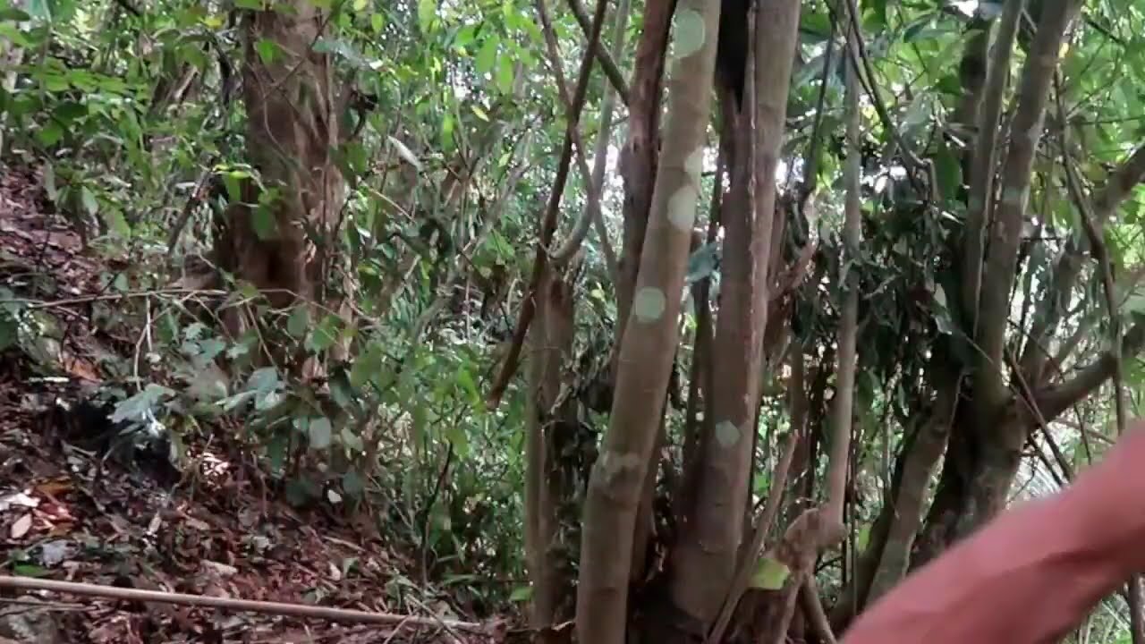 【LIVE】  2024年9月22日 FULL SHOW  New