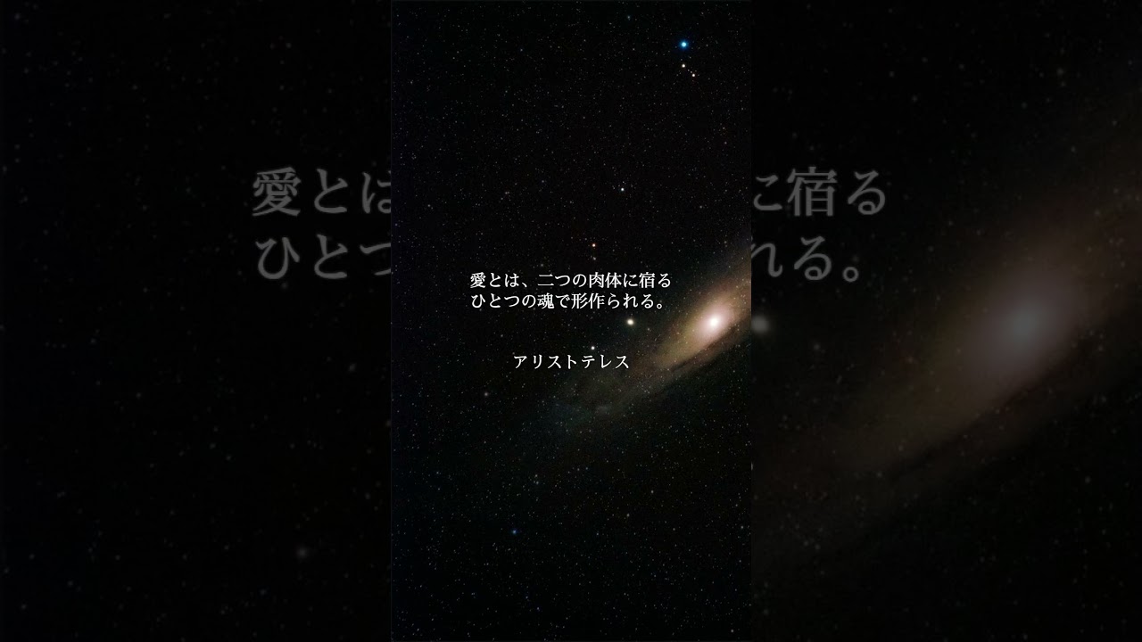 名言で学ぶ愛の本質 #恋愛 #人生 #名言 #偉人 #shorts