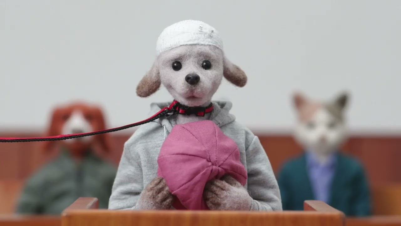 「#飼い主に傷つけられた動物を守れる社会に」プロジェクト 活動のご報告とお願い
