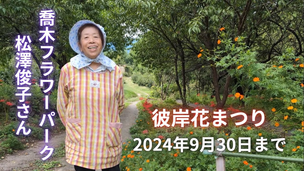 長野県喬木村【喬木フラワーパーク彼岸花まつり】(2024.9/24)