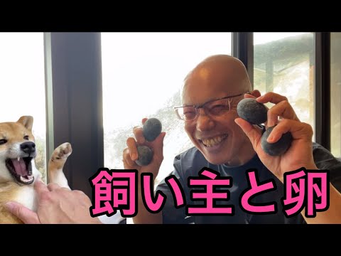 【柴犬飼い主54歳】柴犬と卵大好きおじさん！