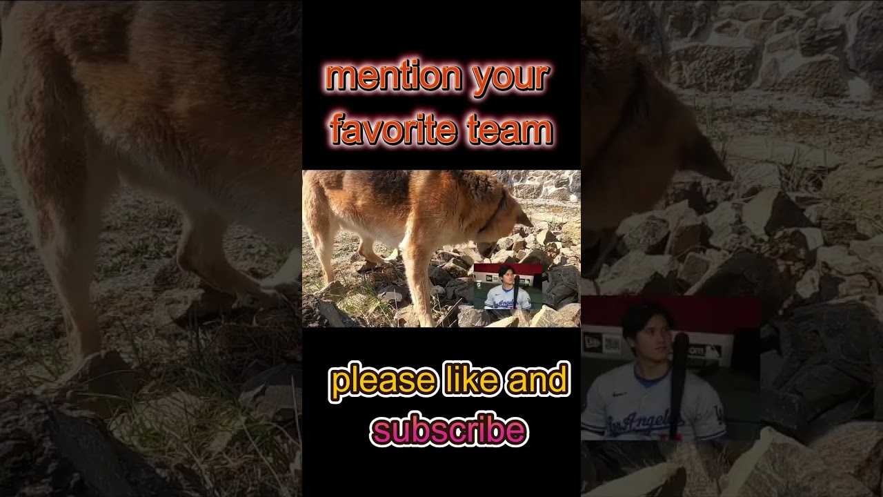 【速報】大谷翔平、唖然とする…希望を失った!!! 「フジの神田愛花アナが突然発表！…世界から批判の嵐」 1