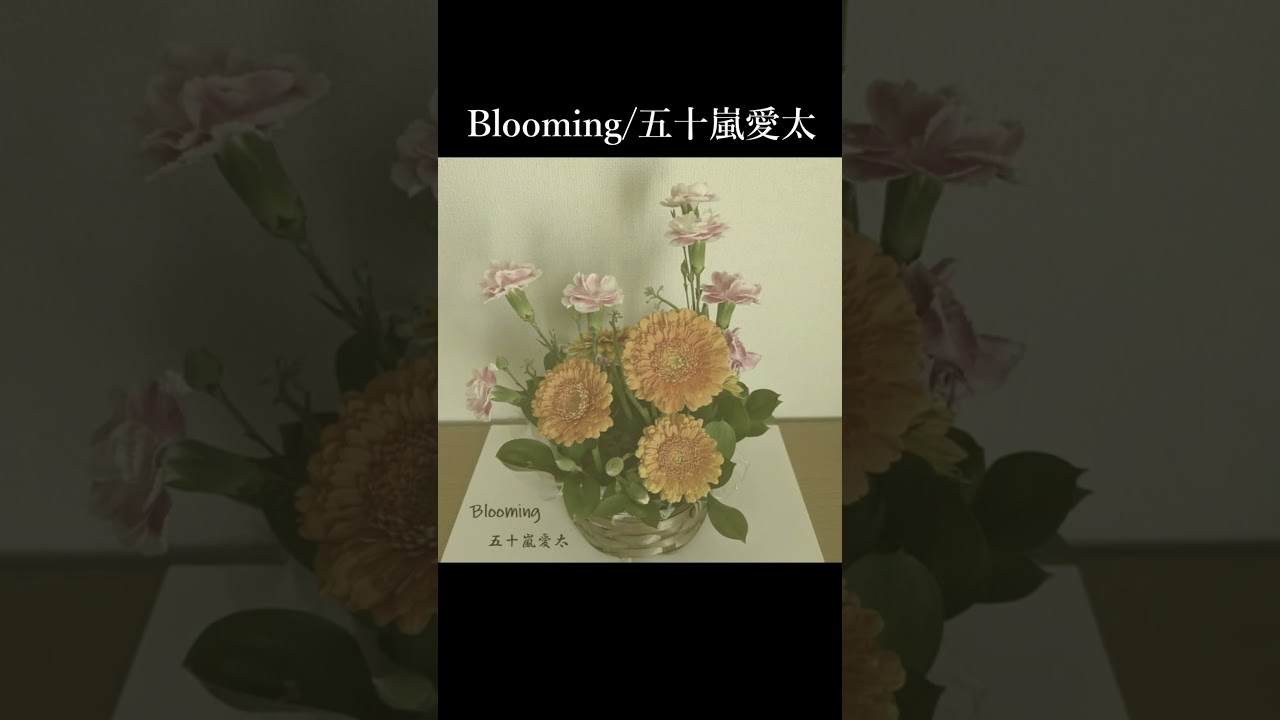 Blooming PV第1弾#shorts
